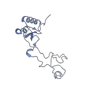 10315_6sv4_ZG_v1-2
The cryo-EM structure of SDD1-stalled collided trisome.
