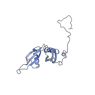10315_6sv4_ZH_v1-2
The cryo-EM structure of SDD1-stalled collided trisome.