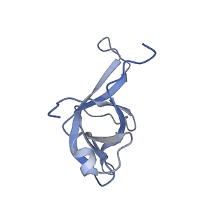10315_6sv4_ZK_v1-2
The cryo-EM structure of SDD1-stalled collided trisome.
