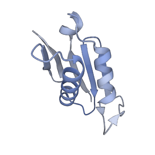 10315_6sv4_ZL_v1-2
The cryo-EM structure of SDD1-stalled collided trisome.
