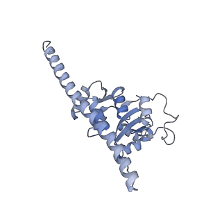 10315_6sv4_ZO_v1-2
The cryo-EM structure of SDD1-stalled collided trisome.