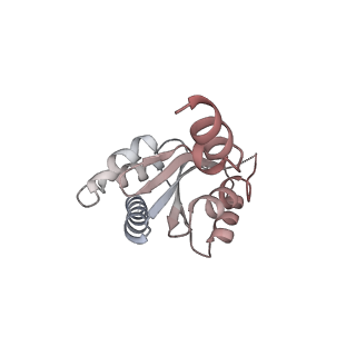 10315_6sv4_ZU_v1-2
The cryo-EM structure of SDD1-stalled collided trisome.