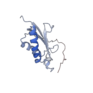 10315_6sv4_Zb_v1-2
The cryo-EM structure of SDD1-stalled collided trisome.