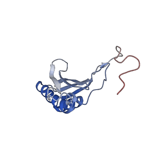 10315_6sv4_Zc_v1-2
The cryo-EM structure of SDD1-stalled collided trisome.