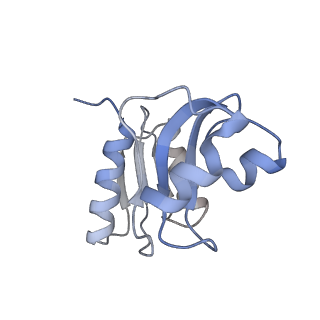 10315_6sv4_bc_v1-2
The cryo-EM structure of SDD1-stalled collided trisome.