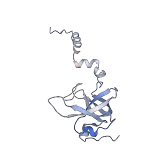 10315_6sv4_cb_v1-2
The cryo-EM structure of SDD1-stalled collided trisome.