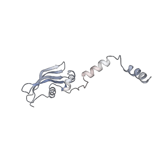 10315_6sv4_db_v1-2
The cryo-EM structure of SDD1-stalled collided trisome.