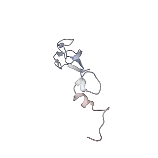 10315_6sv4_fc_v1-2
The cryo-EM structure of SDD1-stalled collided trisome.