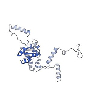 10315_6sv4_zA_v1-2
The cryo-EM structure of SDD1-stalled collided trisome.