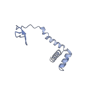 10315_6sv4_zC_v1-2
The cryo-EM structure of SDD1-stalled collided trisome.