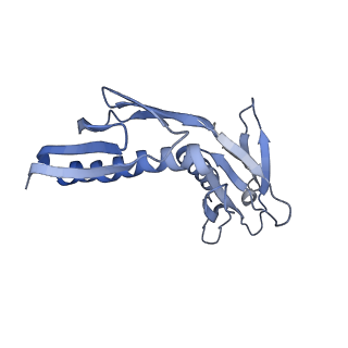 10315_6sv4_zD_v1-2
The cryo-EM structure of SDD1-stalled collided trisome.