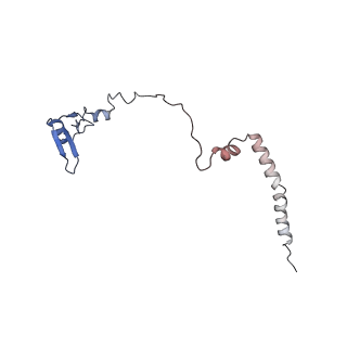 10315_6sv4_zE_v1-2
The cryo-EM structure of SDD1-stalled collided trisome.