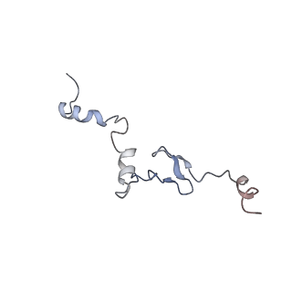 10315_6sv4_zF_v1-2
The cryo-EM structure of SDD1-stalled collided trisome.