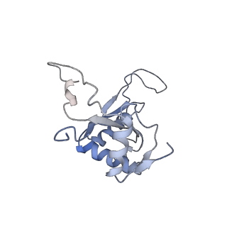 10315_6sv4_zG_v1-2
The cryo-EM structure of SDD1-stalled collided trisome.
