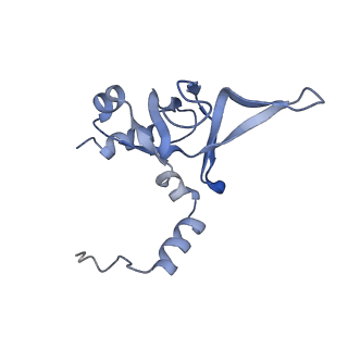 10315_6sv4_zK_v1-2
The cryo-EM structure of SDD1-stalled collided trisome.