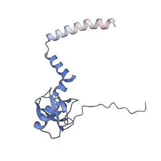 10315_6sv4_zM_v1-2
The cryo-EM structure of SDD1-stalled collided trisome.