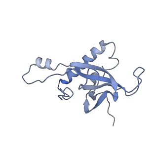 10315_6sv4_zN_v1-2
The cryo-EM structure of SDD1-stalled collided trisome.