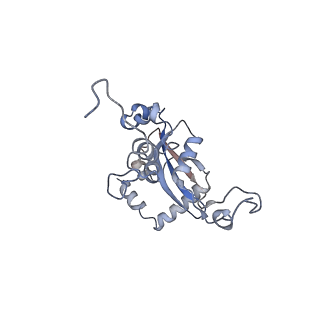10315_6sv4_zQ_v1-2
The cryo-EM structure of SDD1-stalled collided trisome.
