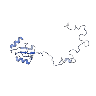 10315_6sv4_zR_v1-2
The cryo-EM structure of SDD1-stalled collided trisome.