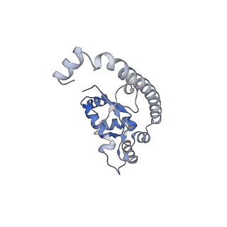 10315_6sv4_zU_v1-2
The cryo-EM structure of SDD1-stalled collided trisome.