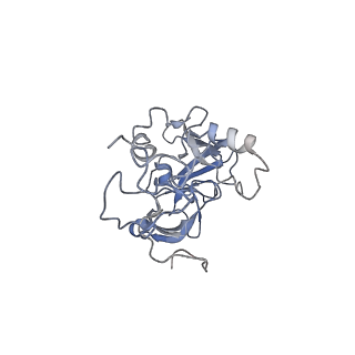 10315_6sv4_zW_v1-2
The cryo-EM structure of SDD1-stalled collided trisome.