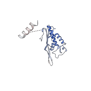 10315_6sv4_zX_v1-2
The cryo-EM structure of SDD1-stalled collided trisome.