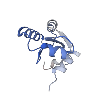 10315_6sv4_zY_v1-2
The cryo-EM structure of SDD1-stalled collided trisome.