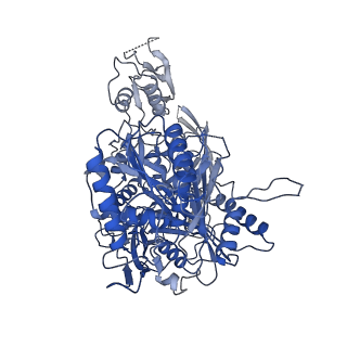 25446_7sva_A_v1-2
Cryo-EM structure of Arabidopsis Ago10-guide RNA complex