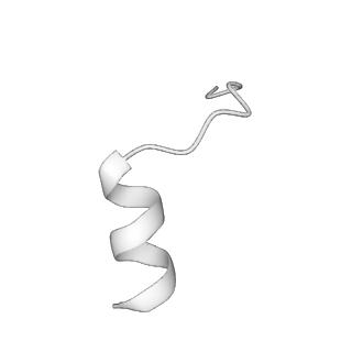 25447_7svd_B_v1-2
The complex of phosphorylated human cystic fibrosis transmembrane conductance regulator (CFTR) with ATP/Mg and Lumacaftor (VX-809)