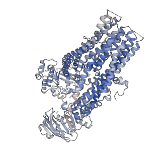 25452_7svr_A_v1-2
The complex of dephosphorylated human cystic fibrosis transmembrane conductance regulator (CFTR) and Lumacaftor (VX-809)