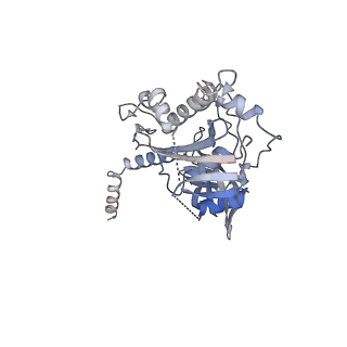 25455_7svw_C_v1-2
Strand-transfer complex of TnsB from ShCAST