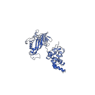 25455_7svw_D_v1-2
Strand-transfer complex of TnsB from ShCAST