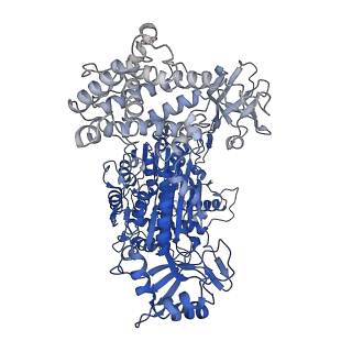 40782_8sv8_A_v1-0
Cryo-EM structure of a double loaded human UBA7-UBE2L6-ISG15 thioester mimetic complex from a composite map