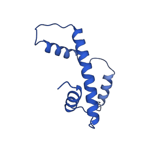 40789_8svf_A_v1-0
BAP1/ASXL1 bound to the H2AK119Ub Nucleosome