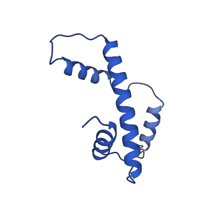 40789_8svf_A_v1-1
BAP1/ASXL1 bound to the H2AK119Ub Nucleosome