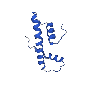 40789_8svf_B_v1-1
BAP1/ASXL1 bound to the H2AK119Ub Nucleosome