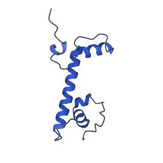 40789_8svf_C_v1-0
BAP1/ASXL1 bound to the H2AK119Ub Nucleosome