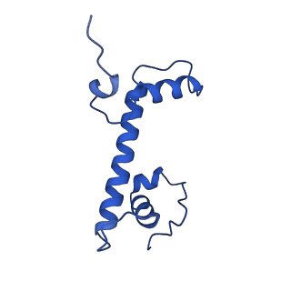 40789_8svf_C_v1-1
BAP1/ASXL1 bound to the H2AK119Ub Nucleosome