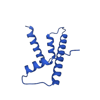 40789_8svf_D_v1-0
BAP1/ASXL1 bound to the H2AK119Ub Nucleosome