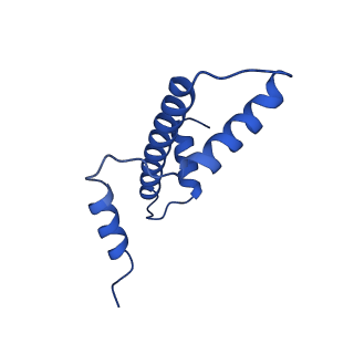 40789_8svf_E_v1-1
BAP1/ASXL1 bound to the H2AK119Ub Nucleosome