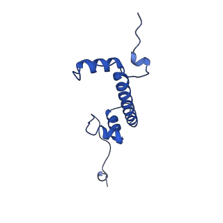40789_8svf_G_v1-0
BAP1/ASXL1 bound to the H2AK119Ub Nucleosome