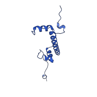 40789_8svf_G_v1-1
BAP1/ASXL1 bound to the H2AK119Ub Nucleosome