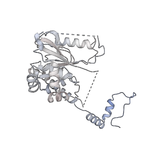 40789_8svf_K_v1-0
BAP1/ASXL1 bound to the H2AK119Ub Nucleosome
