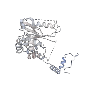 40789_8svf_K_v1-1
BAP1/ASXL1 bound to the H2AK119Ub Nucleosome