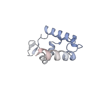40789_8svf_L_v1-1
BAP1/ASXL1 bound to the H2AK119Ub Nucleosome