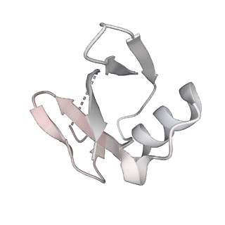 40789_8svf_M_v1-1
BAP1/ASXL1 bound to the H2AK119Ub Nucleosome