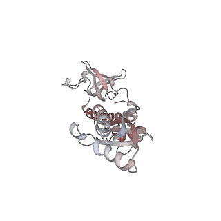 10320_6sw9_9_v1-0
IC2A model of cryo-EM structure of a full archaeal ribosomal translation initiation complex devoid of aIF1 in P. abyssi