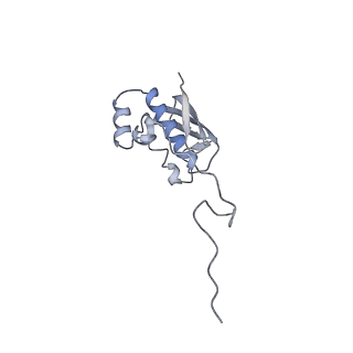 10320_6sw9_K_v1-0
IC2A model of cryo-EM structure of a full archaeal ribosomal translation initiation complex devoid of aIF1 in P. abyssi