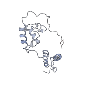 10320_6sw9_Q_v1-0
IC2A model of cryo-EM structure of a full archaeal ribosomal translation initiation complex devoid of aIF1 in P. abyssi