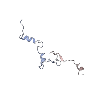 10321_6swa_h_v1-0
Mus musculus brain neocortex ribosome 60S bound to Ebp1